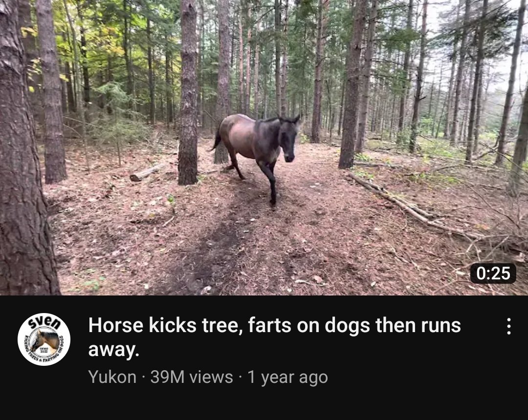 This is a YouTube title and thumbnail masterclass. <a href="/theJayAlto/">Jay Alto</a> &amp; <a href="/jthomas__/">Jake Thomas</a> take notice! 🤣🤣