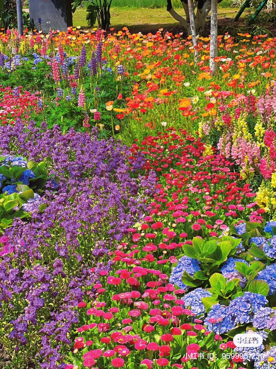 piinkibun's tweet image. &amp;lt;3 in love