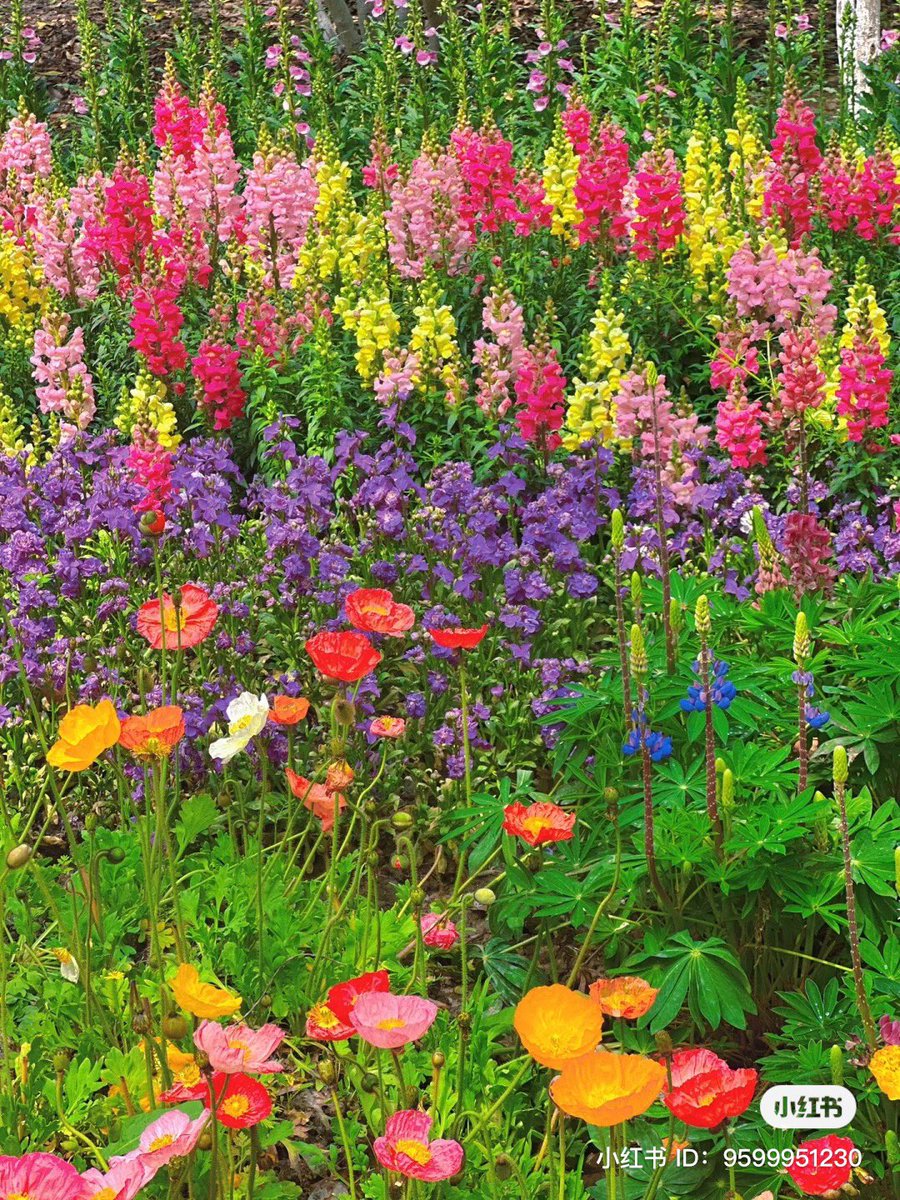 piinkibun's tweet image. &amp;lt;3 in love