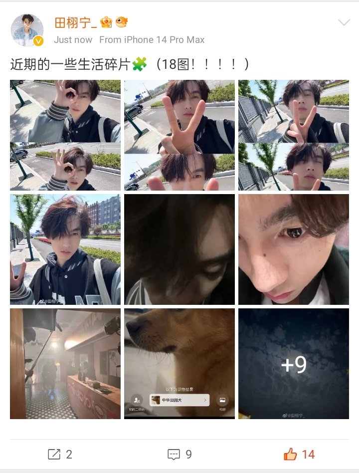Daily Tian Xuning | 田栩宁 tweet media