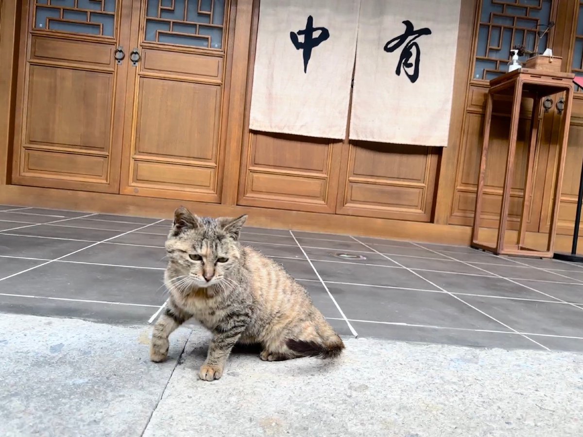Daily Tian Xuning | 田栩宁 tweet media