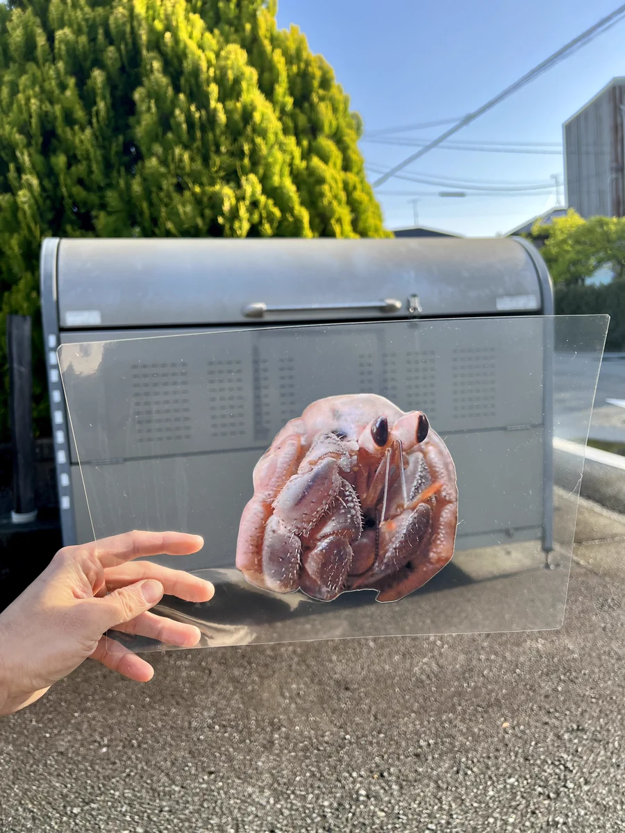 とってもかわいい！！ありとあらゆるものをヤドカリにするプレート！