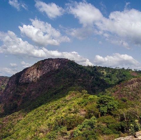 Want to visit the highest mountain in Ghana, Family Dream Expert Consult will be your best guide.
8/41, Mountain Afadjato located in the Volta Region of Ghana.

#ghana
#africa
#voltaregion
#mountainafadjato
#tourismghana
#experienceofalifetime
#tourghana
#travel
#naturetours