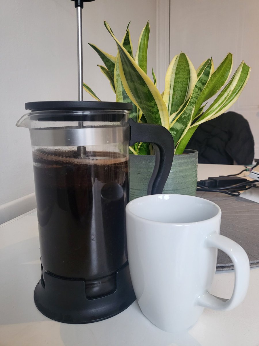 The brain fog is real...hoping this helps today for the final push.  You know it's time for a break (or you are actually a big kid) when you would rather play hide and seek in the library...