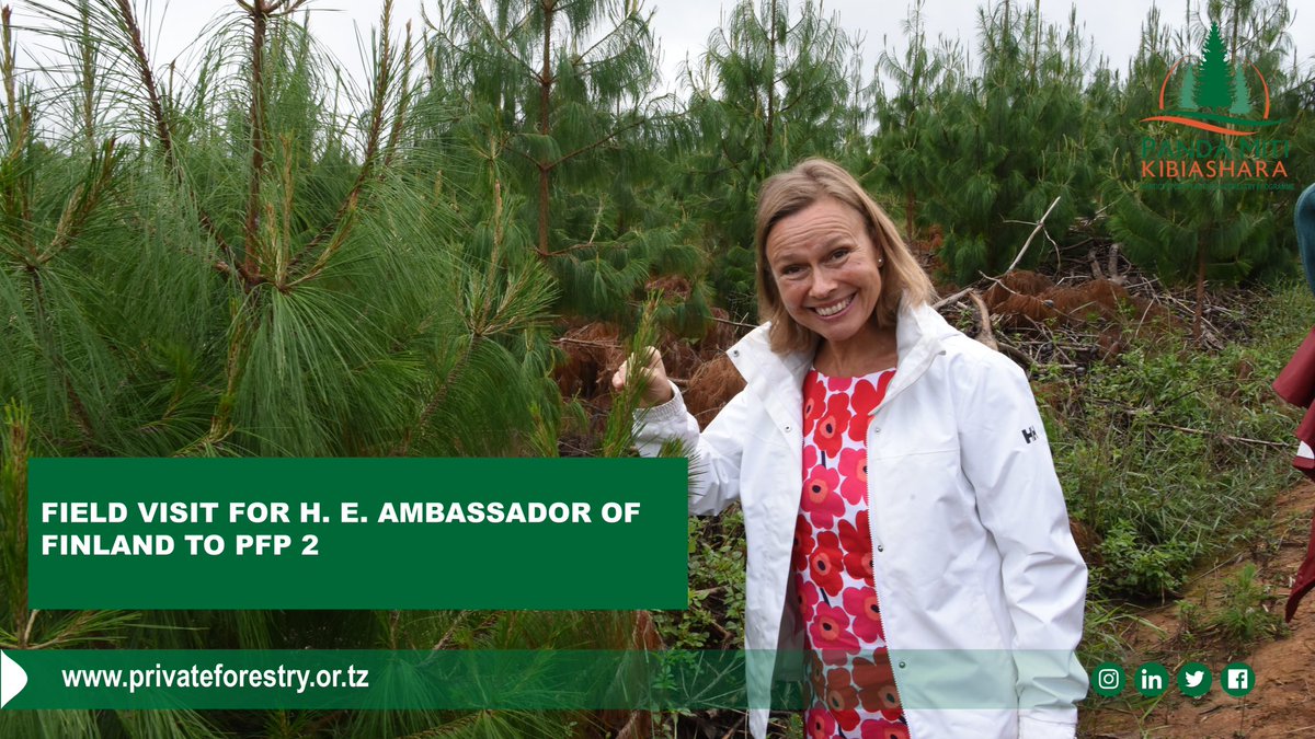 PlantationPfp2's tweet photo. FIELD VISIT FOR H. E. AMBASSADOR OF FINLAND TO PFP 2

H. E. Mrs. Theresa Zitting has made a field visit to the villages supported by the Finnish government through the PFP-2. 
#Pandamitikibiashara
#PFP2.
#finnishembassy. https://t.co/fWZTXddr5J