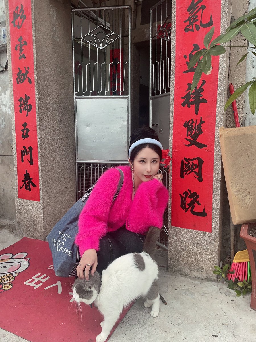 路过的小猫咪都会被我摸一把 https://t.co/7gnBW6zCO9