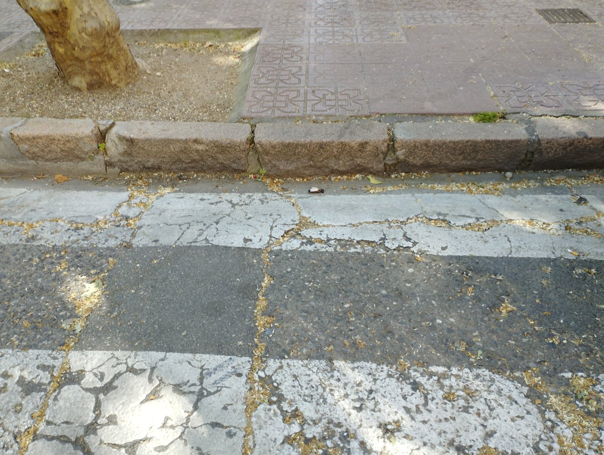 andalucia_Todxs's tweet photo. Pasos de peatones "sin barreras" movilidad y "accesible"...lo de comPPrometidos con Córdoba será por el campo de golf recién aprobado @jmbellidoroche @InfrayMAmbiente https://t.co/KKbe2a7D3i
