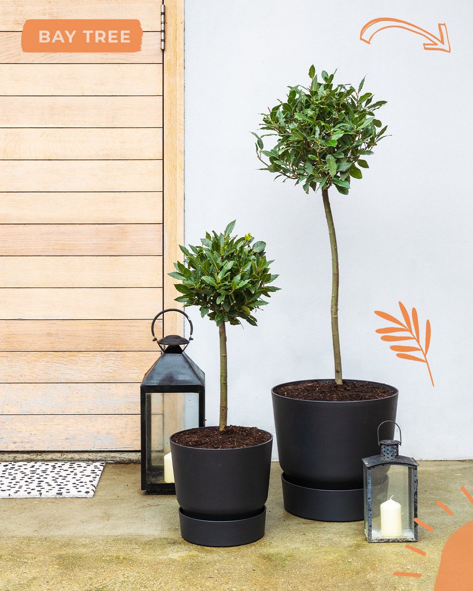 Beards & Daisies tweet media