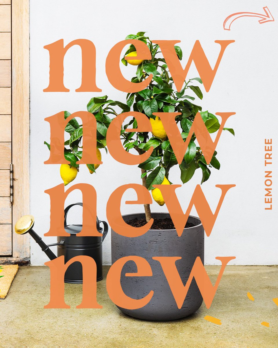 Beards & Daisies tweet media