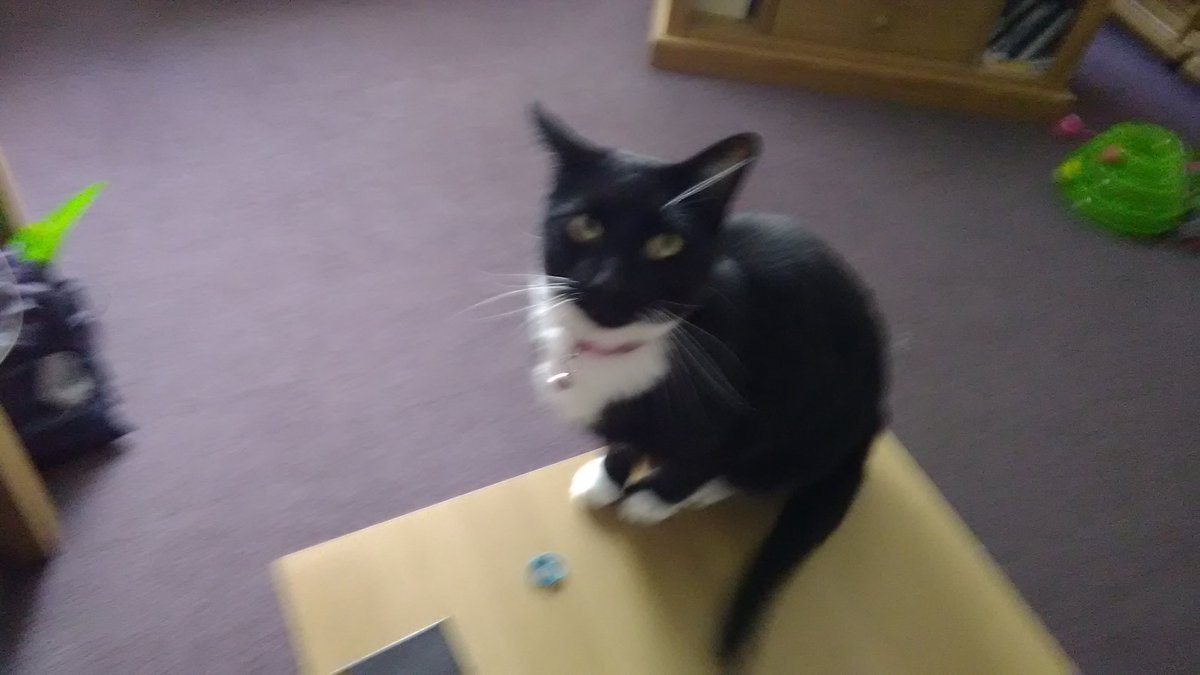 David Blanchflower BSc tweet media