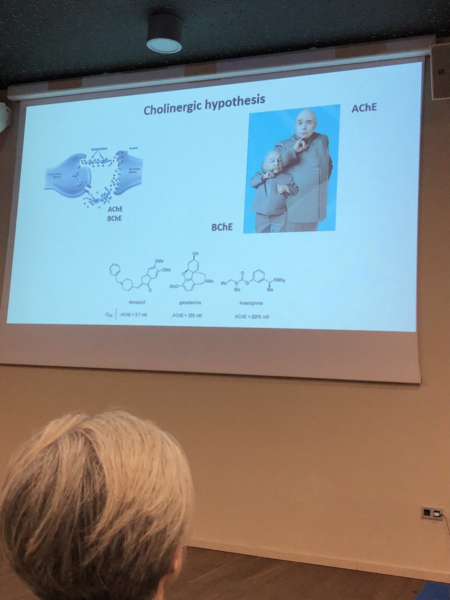 A higher dose of #Neurodegenerative Diseases for today!
Dr Stanislav Gobec is talking about #Alzheimer’s disease and the possible causes behind it!
The cholinergic hypothesis, AchE inhibitors and
Screening for compounds and computing in drug discovery.
#epsa_online