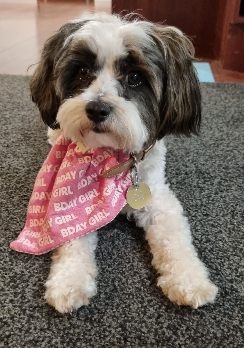 Jason Dawson tweet media