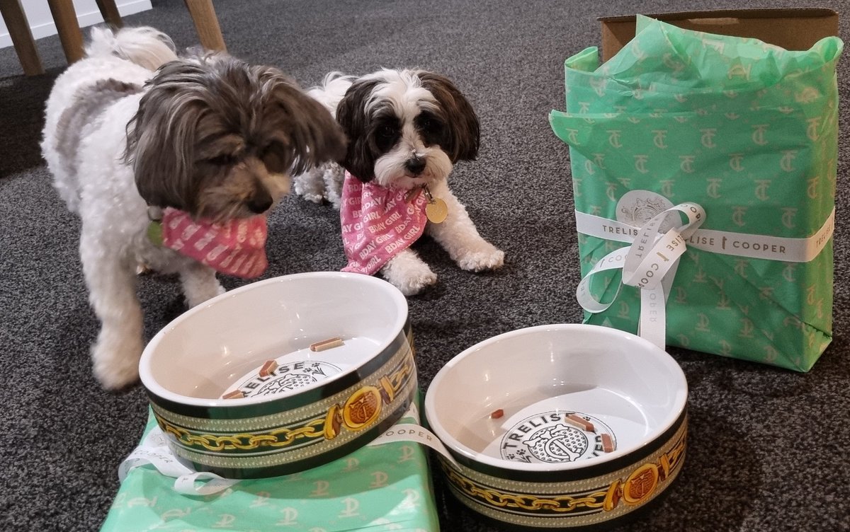 Jason Dawson tweet media