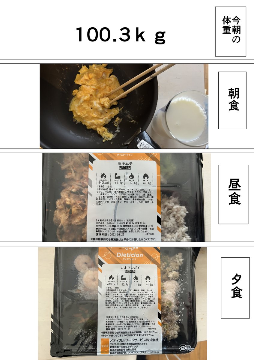 本気で30キロ痩せたい漫画家5 