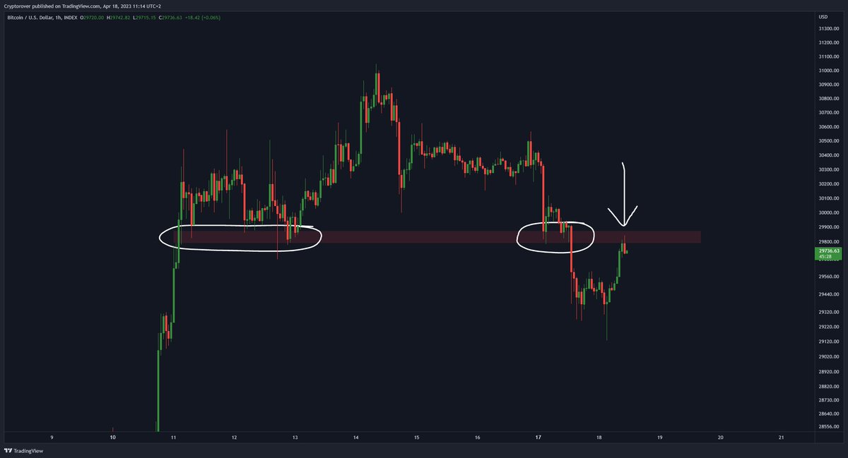 Crypto Rover tweet media
