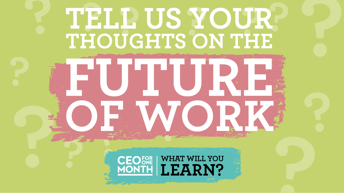 CEO for One Month tweet media