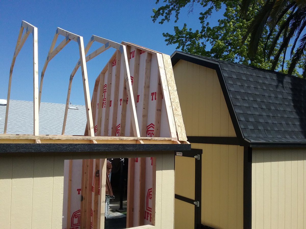 Brenda==WHO'S DOG IS THIS? I FOUND HER 2.4.2024 tweet media