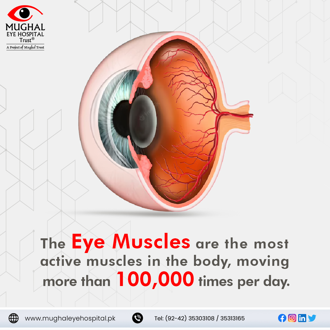 MughalEye's tweet photo. From blinking to focusing, your eye muscles are constantly in motion.

#mughaleyetrusthospital #eyefacts #EyeMuscles #healthcare #healthyeye #BestEyeHospital https://t.co/86Ga2LH6GE
