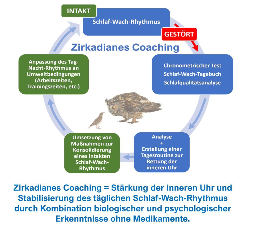 clockwiseRB's tweet image. 