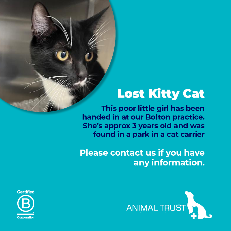 Animal Trust Vets tweet media