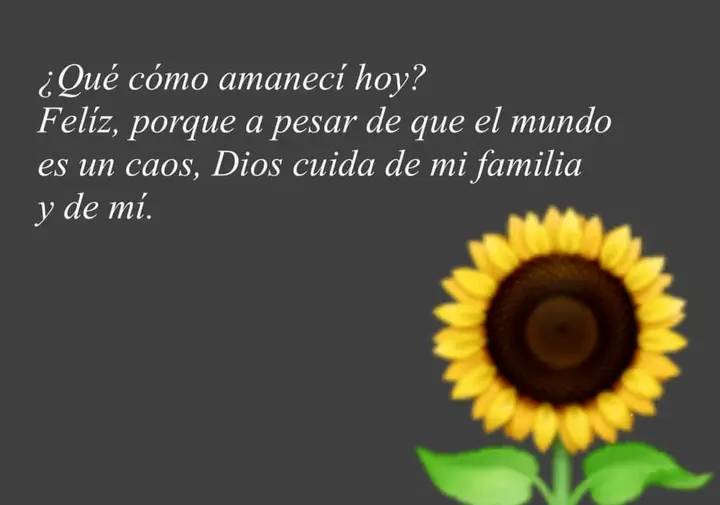 "Que el Señor te conceda un día lleno de bendiciones y te proteja de todo mal.

 💞¡Que tengas un maravilloso día!"💞

#Shavelita
#FelizMartesParaTodos 
#BuenosDiasATodos 
#RevoluciónÉtica