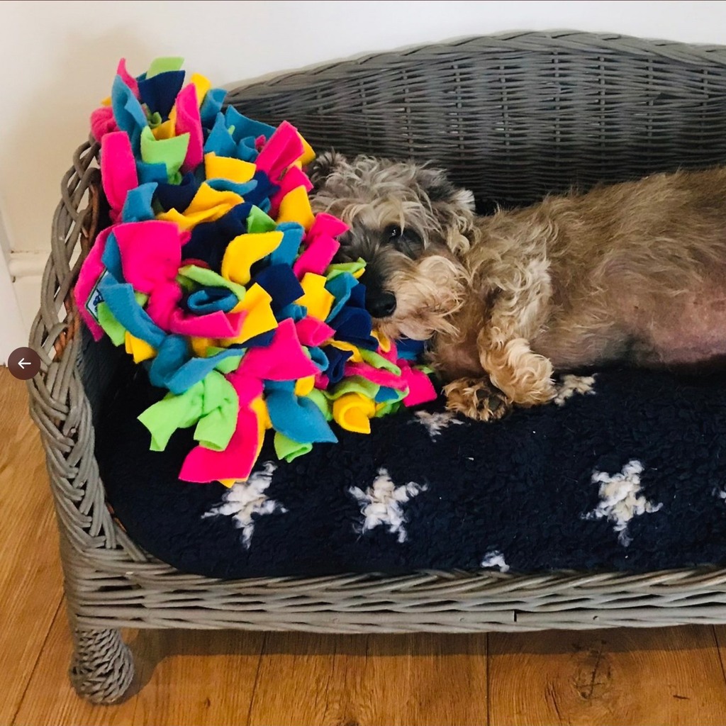 RuffleSnuffle's tweet image. Nothing like snuggling up to your snufflemat after a hard days foraging. 🤣 

Get yours from our shop!  Link in Bio
#snufflemat #snufflemats #snufflematt #snufflematts #snufflematuk #snufflematsuk #snufflematfordogs instagr.am/p/CrK_qkWq4TS/