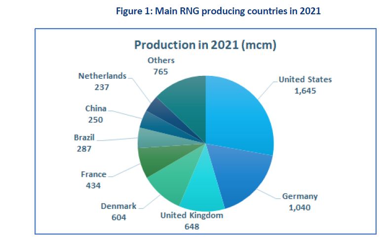 2022 marked a turning point for the biomethane industry, as it became a crucial component of global energy and climate policies. #Biomethane #RenewableNaturalGas #RNG