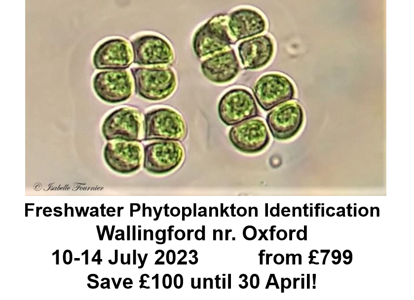 .
#training <a href="/UK_CEH/">UK Centre for Ecology & Hydrology</a>

Freshwater phytoplankton identification

Wallingford nr. Oxford
10-14 July 2023
From £799

ceh.ac.uk/training/fresh…

#lake #river #pond #plankton #fieldskills

@EssexWTrecords <a href="/freshwaterblog/">The Freshwater Blog</a> <a href="/FreshwaterSci/">FWS Journal</a> <a href="/FreshWaterWatch/">FreshWater Watch</a> <a href="/Glos_Records/">GCER</a>