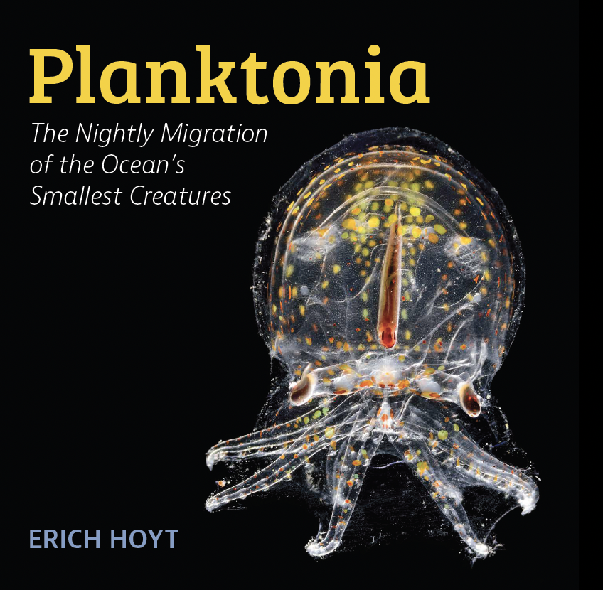 ErichHoyt's tweet photo. My latest PLANKTONIA  & 3 other books lead the way from @FireflyBooks  at London Book Fair. @parisamichail  has sold Planktonia, Encyclopedia of Whales & Weird Sea Creatures for Japanese rights & Creatures of the Deep Chinese rights. Stand 6G81 at #LBF23 (18-20 Apr). Catalogue: https://t.co/PizNm3DLih