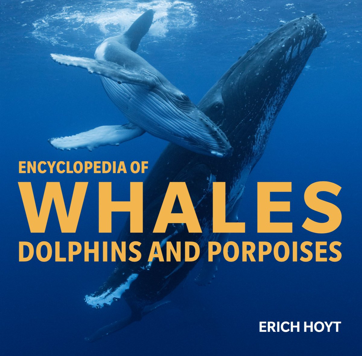 ErichHoyt's tweet photo. My latest PLANKTONIA  & 3 other books lead the way from @FireflyBooks  at London Book Fair. @parisamichail  has sold Planktonia, Encyclopedia of Whales & Weird Sea Creatures for Japanese rights & Creatures of the Deep Chinese rights. Stand 6G81 at #LBF23 (18-20 Apr). Catalogue: https://t.co/PizNm3DLih