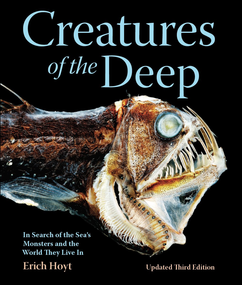 ErichHoyt's tweet photo. My latest PLANKTONIA  & 3 other books lead the way from @FireflyBooks  at London Book Fair. @parisamichail  has sold Planktonia, Encyclopedia of Whales & Weird Sea Creatures for Japanese rights & Creatures of the Deep Chinese rights. Stand 6G81 at #LBF23 (18-20 Apr). Catalogue: https://t.co/PizNm3DLih