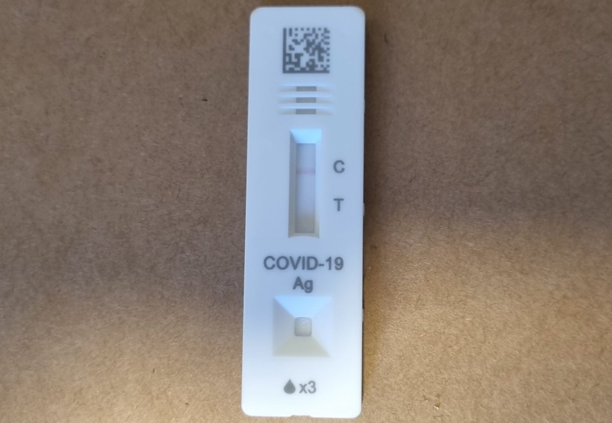 Kat McCarthy tweet media