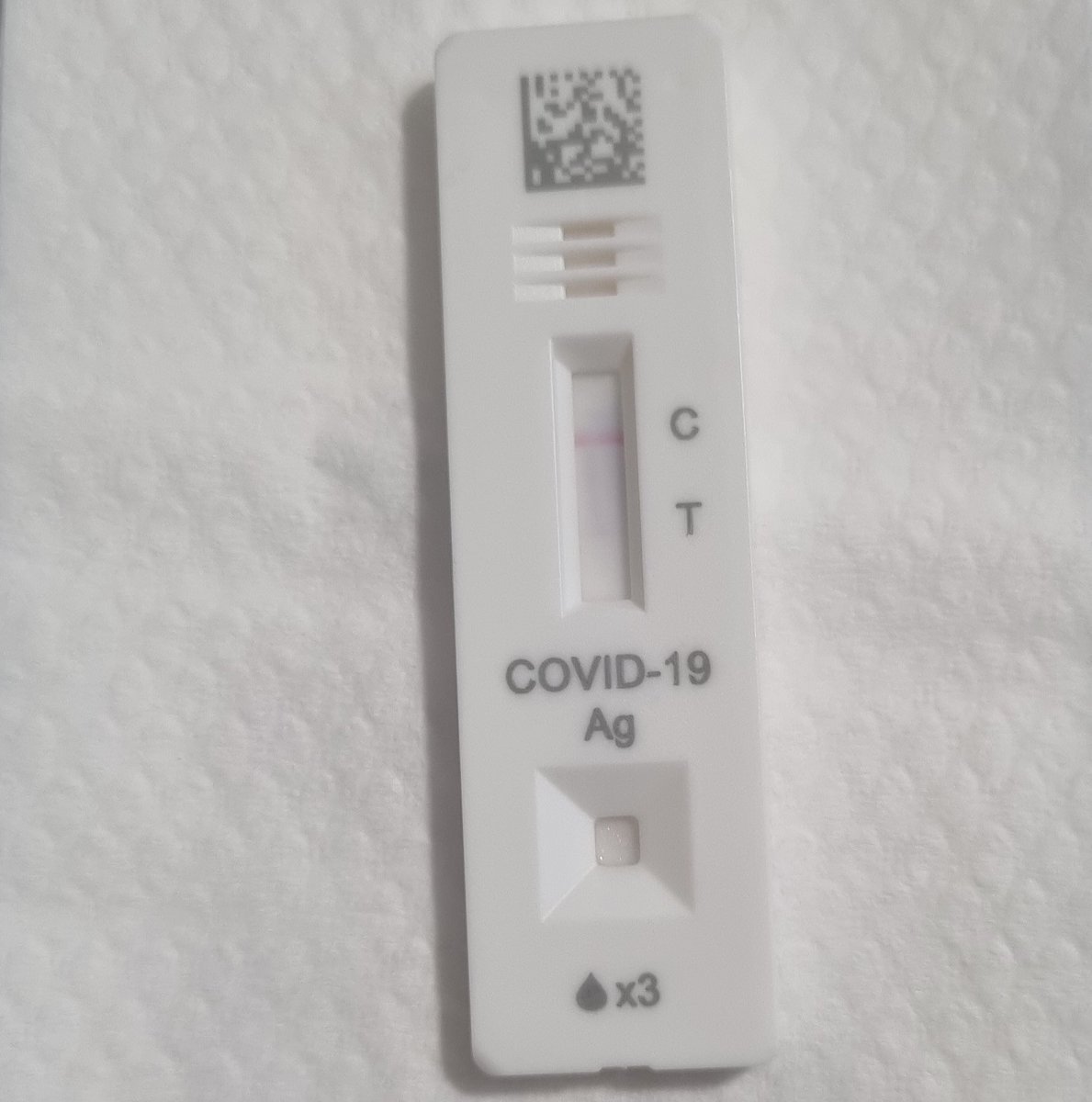 Kat McCarthy tweet media