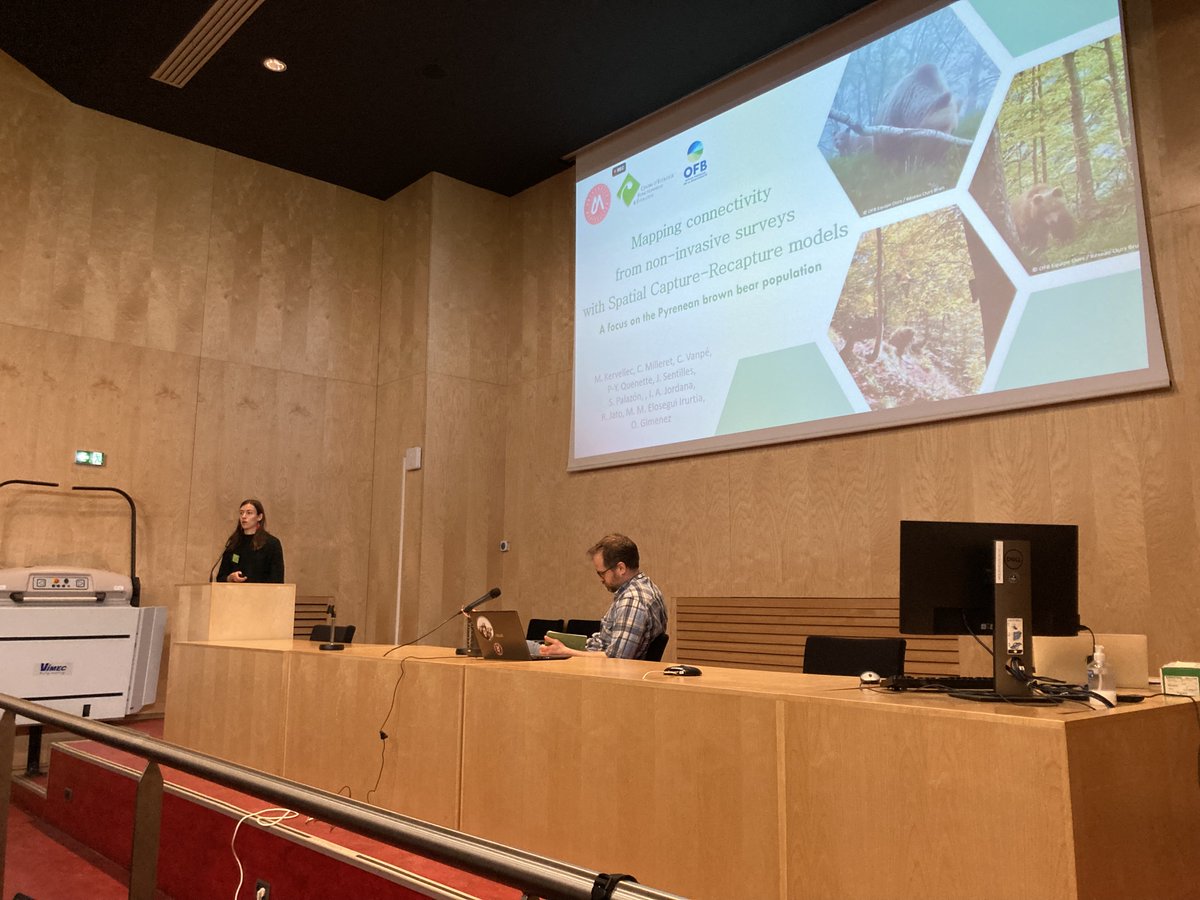 oaggimenez's tweet photo. Awesome talk by @MaelisKervellec at #euring2023 on integrating  opportunistic &amp; structured non-invasive surveys w/ spatial capture-recapture to map connectivity of Pyrenean brown bear 🤩🐻

Check out her paper https://t.co/3MZAm0tHwL

@OFBiodiversite @Milleret_Cyril @twitthair1 https://t.co/hlOmboC2RG