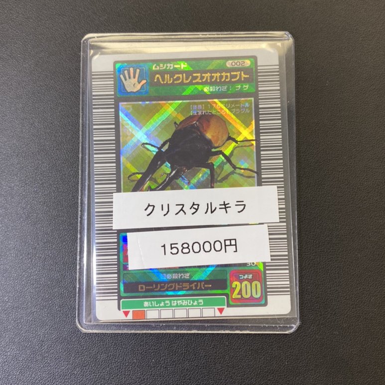 🐜入荷情報🐞 つつついに.‼ クリスタルキラのヘルクレスオオカブトが