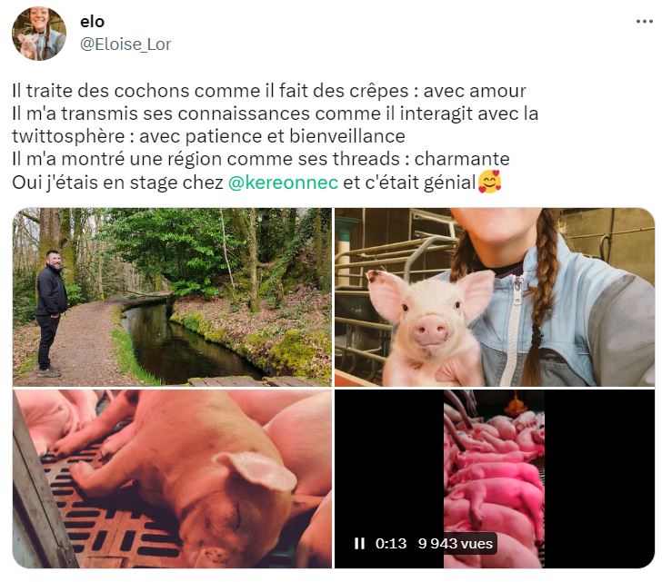 Si on considère qu'une (future) vétérinaire a pour missions d'accompagner, soigner et suivre la santé et le bien-être de nos compagnons, l'idée qu'elle valorise le fait d'entasser des truies et leurs bébés dans des cages en métal est plus qu'alarmant.