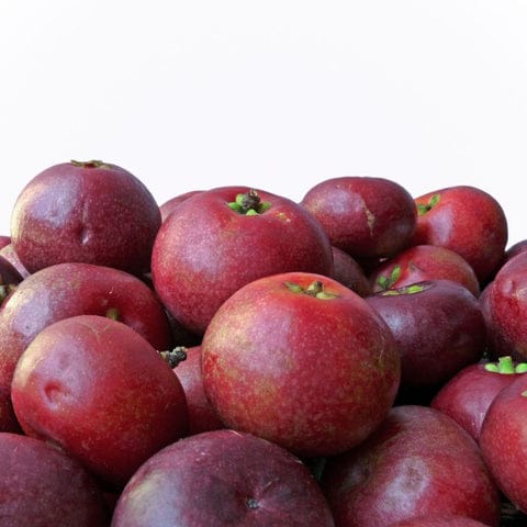 physiomayuri03's tweet photo. When I was introduced to #kudampuli first, being a konkani I also wondered if is #kokum. but No, though it comes from the same family, scientific name: Garnicia Indica, kokum has slight sweetness whereas kudampuli has a tinge of smoky flavor along with sourness. Many among us... https://t.co/sL9ddqRgCp