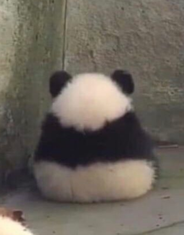 wlwsasuke's tweet photo. same energy https://t.co/xI99z4QxG7