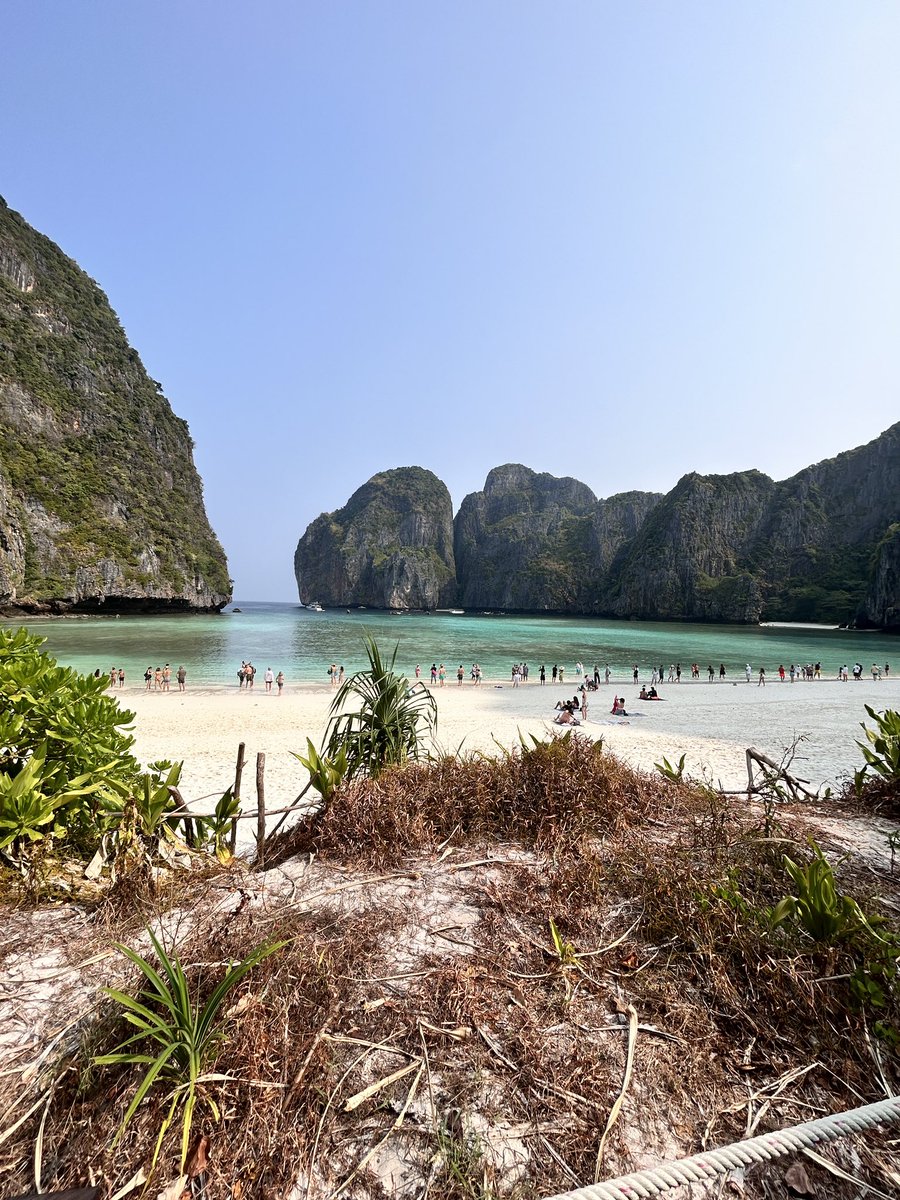 Michelle Beardwood tweet media