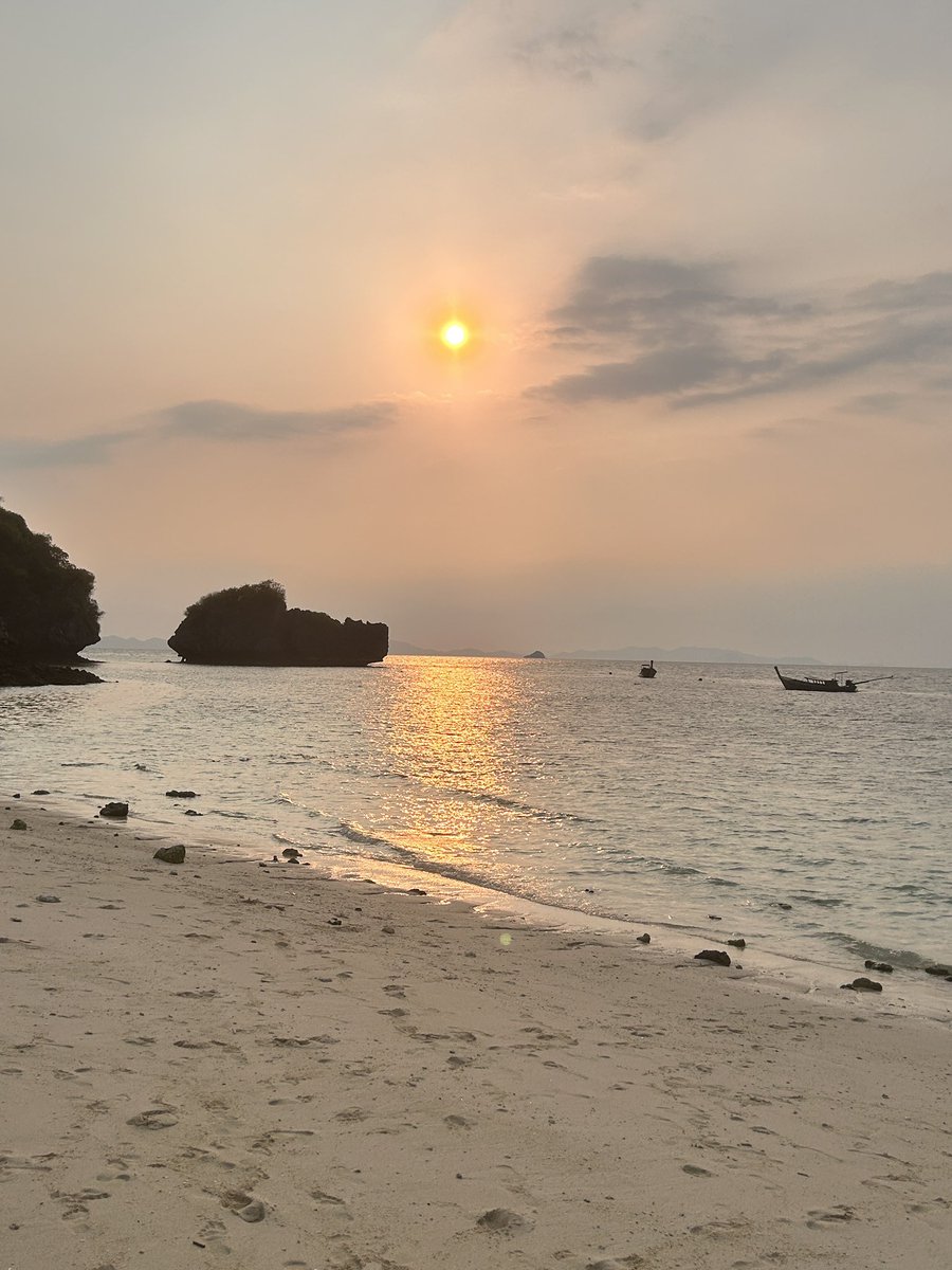 Michelle Beardwood tweet media