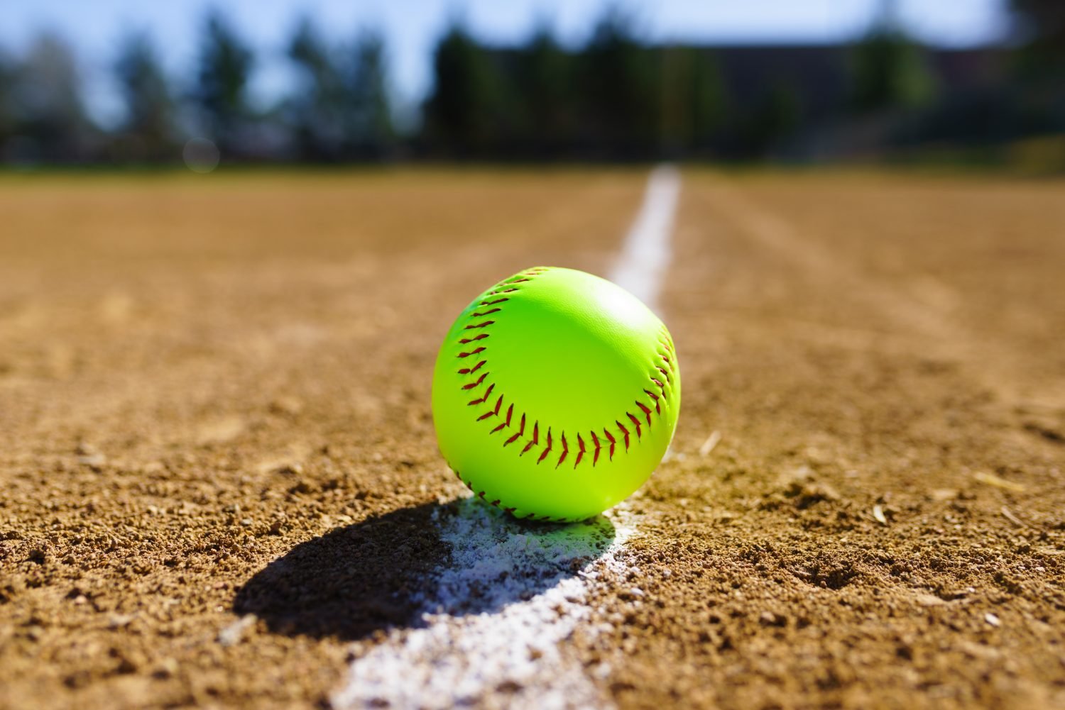 citynews-kitchener-on-twitter-a-local-softball-coach-is-facing-a