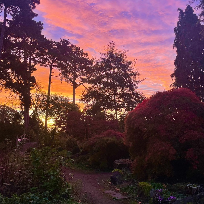 NottmTrentUni's tweet photo. Some beautiful sunset compilations around Nottingham 🌇🤩 https://t.co/NAN6zLHnZf