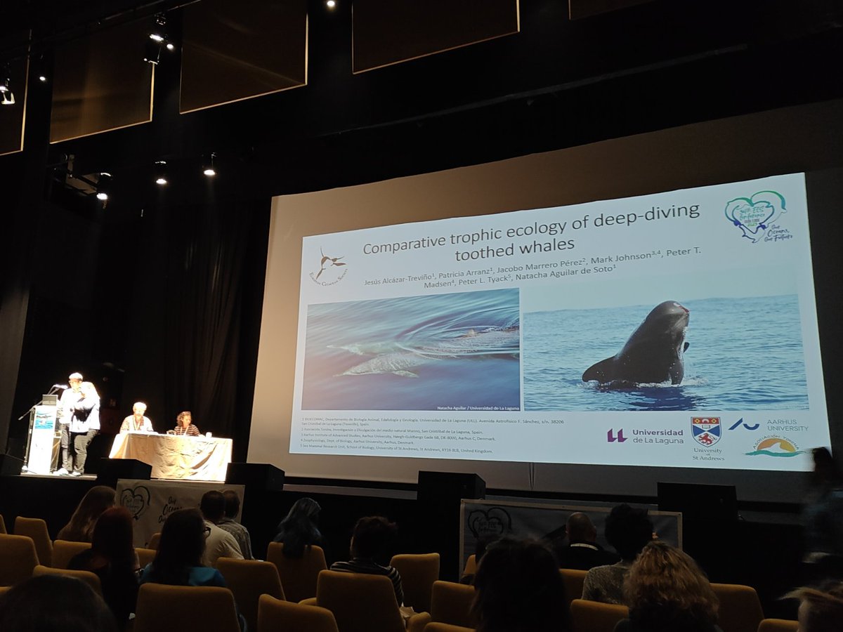 Mel Cosentino, PhD tweet media