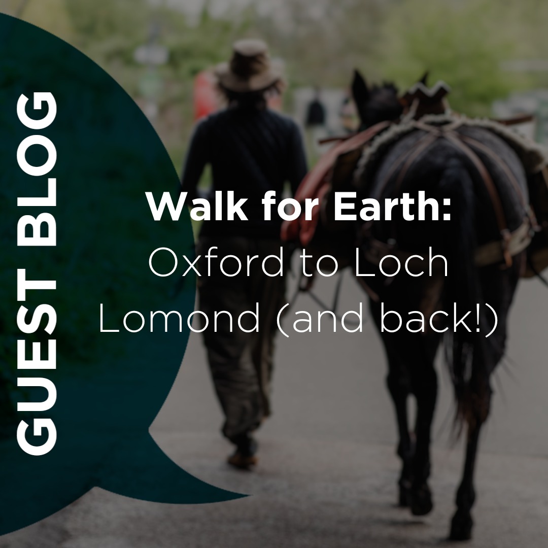 Zoe Bicat (@WalkforEarthUK) has just walked 500 miles from #Oxford to #LochLomond with her mule Falco + are about to embark on the return journey! Read all about their adventure so far and how you can support/join their #WalkforEarth: stopecocide.earth/guest-blog/wal… #StopEcocide