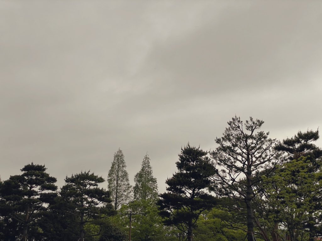 olly_olle's tweet photo. Don't hate the cloudy days too much.
It’s okay :)

#nft #nftart #NFTphotographers #NFTCommuntiy #dailyphotographer #cloudyevening #GE https://t.co/LQRbsShiLs