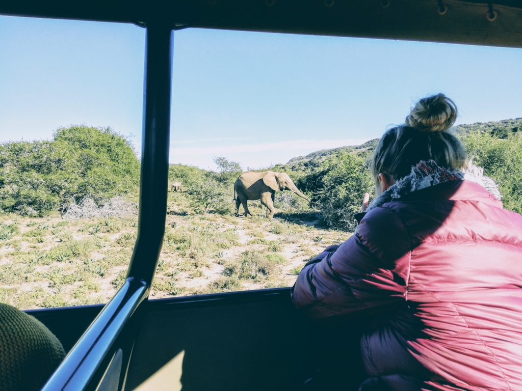 Singa Lodge tweet media