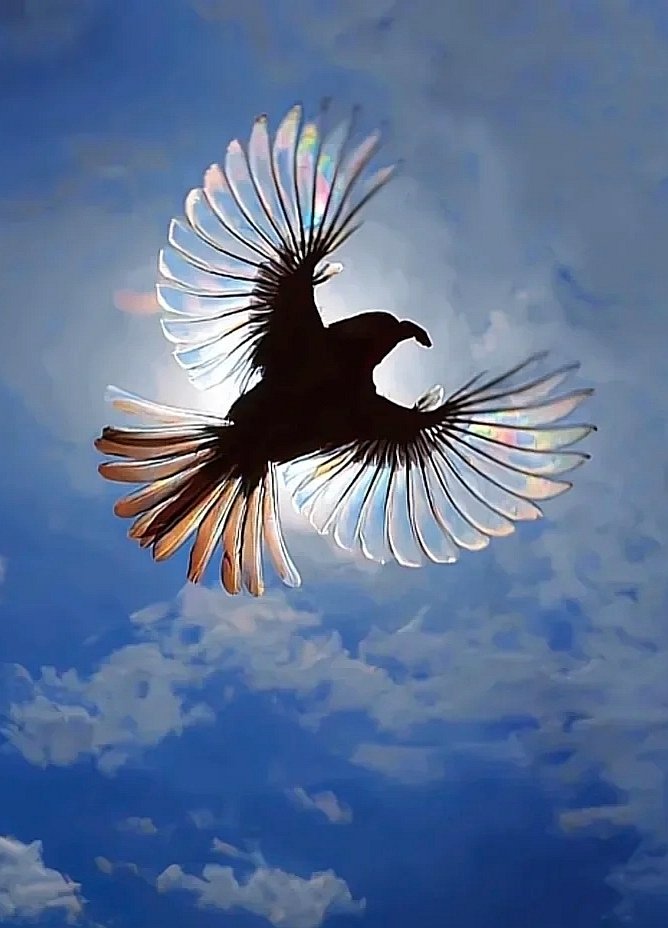 I am not made like any of those I have seen. I venture to believe that I am not made like any of those who are in existence. If I am not better, at least I am different.

Jean-Jacques Rousseau