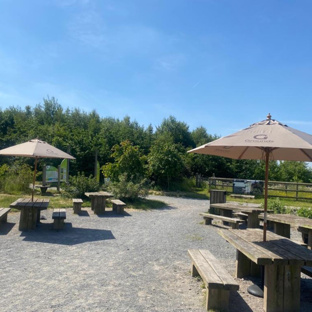 Groundscafe_'s tweet photo. As spring approaches, we strive to create and maintain beautiful outdoor spaces that can bring us joy. 🌷🌺🌳

We look forward to the return of this outdoor paradise as we anxiously await for our gardens to look like this again. https://t.co/oz1RczpHUZ