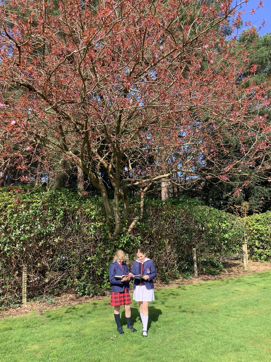 Making the most of our outdoor space and the sunshine during the first day back ☀️📚<a href="/TalbotHeathSch/">Talbot Heath School</a> <a href="/THSch_Junior/">TH Junior School</a> #THSchY5