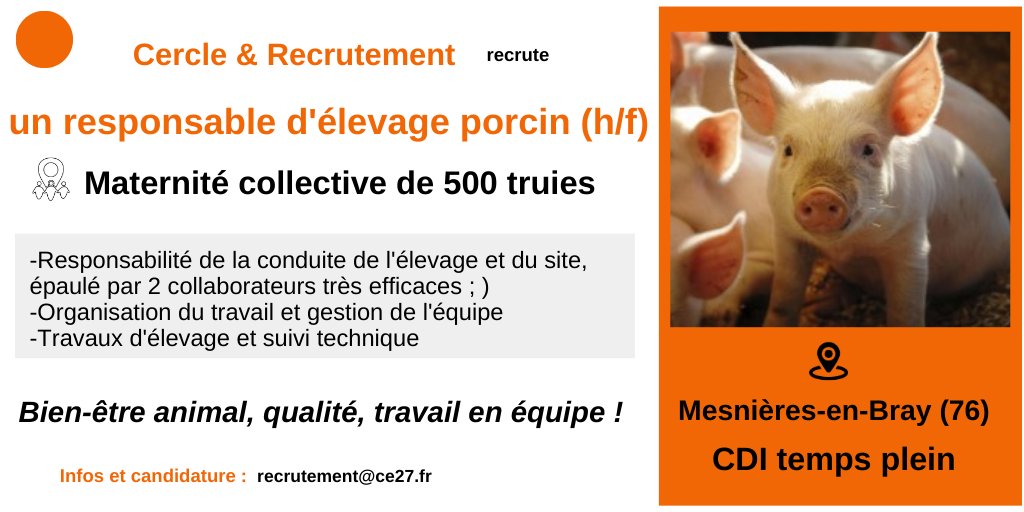 CercledEchanges's tweet image. @CercledEchanges spécialisé en #agriculture assure le #Recrutement d&apos;un responsable en élevage porcin 
@paysdebray @Agri_Normandie @reussir @FranceAgricole @Actu761 @departement76